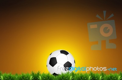 Classic Soccer Ball On Green Grass Stock Image