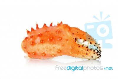 Claw Alaskan King Carb In Isolated White Background Stock Photo