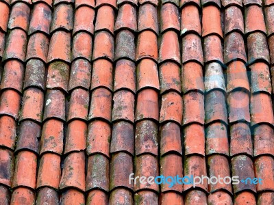 Clay Roof Tiles Stock Photo