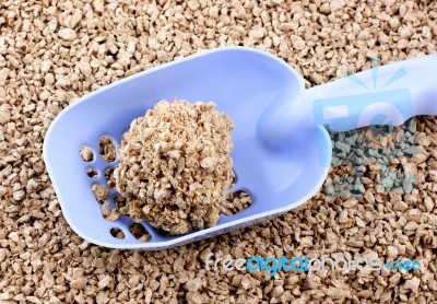 Cleaning Litter Box. Plastic Shovel With Clumping Lump On A Back… Stock Photo