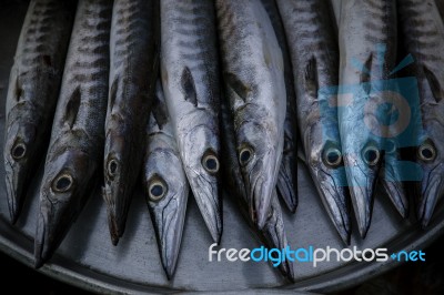 Close Up Arrangement For Sale In Sea Food Market Of  Indo-pacific King Mackerel, Spotted Mackerel, Seerfish Stock Photo