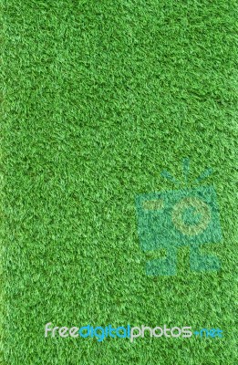 Close Up Artificial Green Grass Leaves Use As Nauture And Multip… Stock Photo