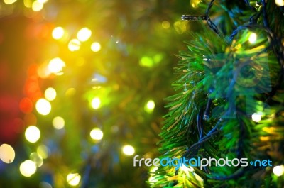 Close Up Christmas Tree With Wire White Light Background Stock Photo