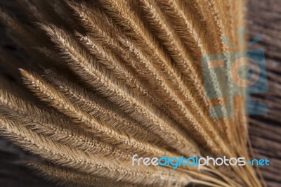 Close Up Dry Grass Seed Bouquet On Wood With Beautiful Light Use… Stock Photo