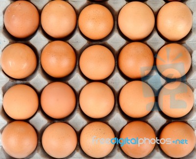 Close Up Egg In Packet Background Texture Stock Photo