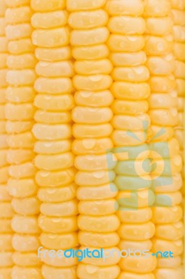 Close Up Fresh Corn Detail Stock Photo