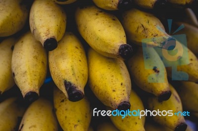 Close Up Mini Bananas Stock Photo