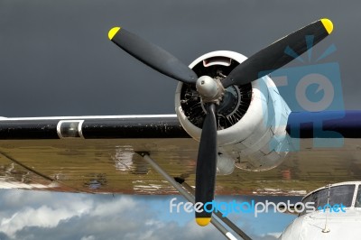 Close-up Of A Catalina Flying Boat Stock Photo