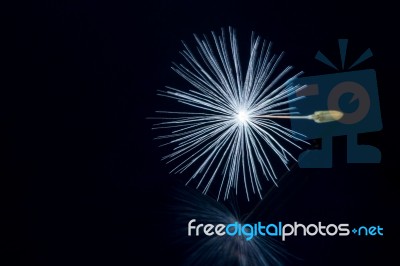 Close Up Of A Dandelion Flowers Stock Photo