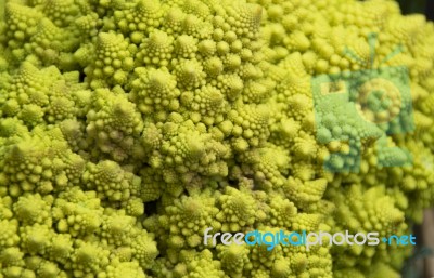 Close Up Of Beautiful Typical Roman Broccoli Stock Photo