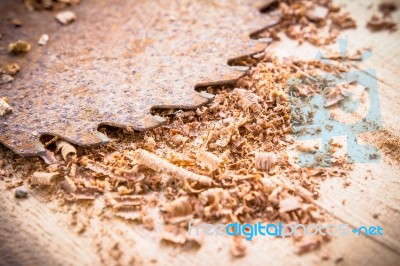 Close Up Of Circular Saw And Saw Dust Stock Photo