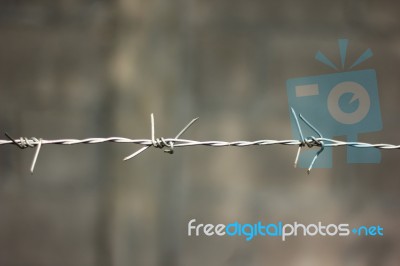 Close Up Of Iron Barbed Wire Stock Photo