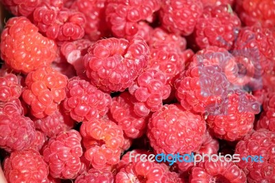 Close-up Of Raspberries Stock Photo