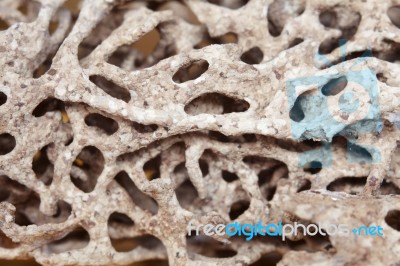 Close Up Of Termite Nest Background Stock Photo