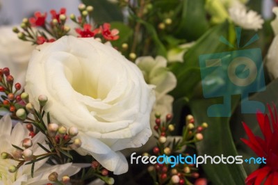 Close Up On My Valentine Flowers	 Stock Photo