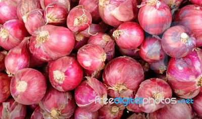 Close Up Red Shallot Background Texture Stock Photo