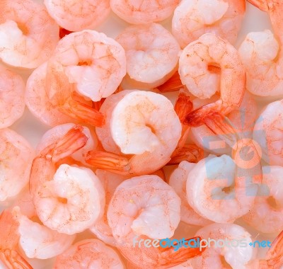 Close Up Shrimps Background With A Group Stock Photo