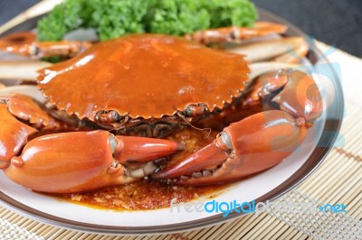 Close Up Singapore Chilli Mud Crab Stock Photo