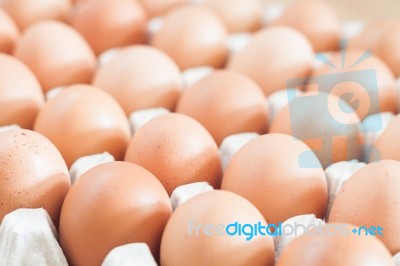 Closed Up Fresh Chicken Eggs Stock Photo