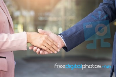 Closeup Friendly Meeting Handshake Between Business Woman And  B… Stock Photo