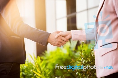 Closeup Friendly Meeting Handshake Between Business Woman And  B… Stock Photo