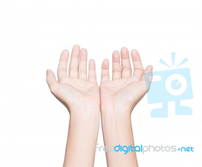 Closeup Hand Receive White Isolated Clipping Path Inside Stock Photo