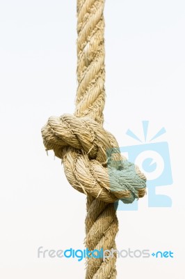 Closeup Knotted Rope On White Background Stock Photo