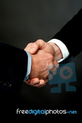 Closeup Of A Business Handshake Stock Photo