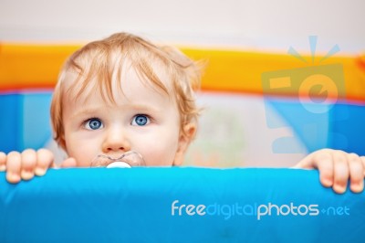 Closeup Of One Year Baby Boy Stock Photo