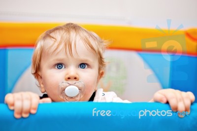 Closeup Of One Year Baby Boy Stock Photo