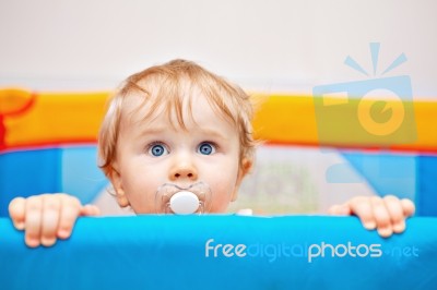 Closeup Of One Year Baby Boy Stock Photo