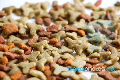 Closeup Of Pet Food Stock Photo