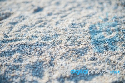 Closeup Of Some Sand On The Shore Stock Photo