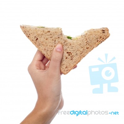 Closeup Of Woman Hand Holding A Sandwich Stock Photo