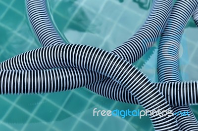 Closeup Swimming Pool Vacuum Hose Floating On Water Stock Photo