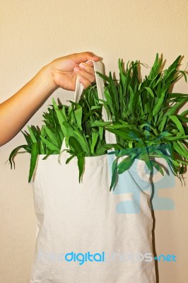 Cloth Bag With Morning Glory Stock Photo