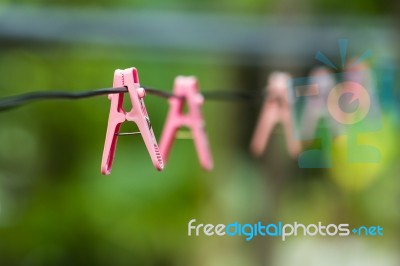 Clothes Peg Stock Photo