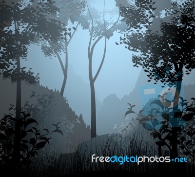 Cloud Forest Scene Stock Image