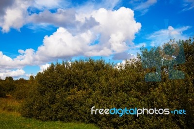 Cloud Landscape Stock Photo