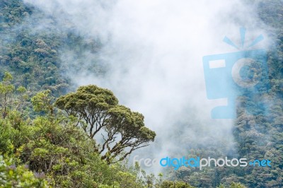 Clouds Envelop The Hills Near Macas, Andes. Ecuador Stock Photo