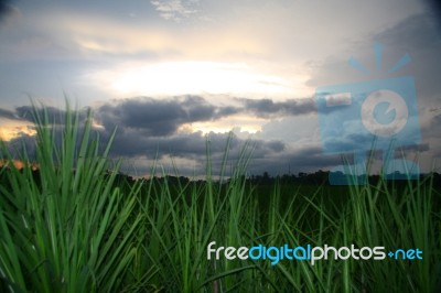 Cloudy Stock Photo