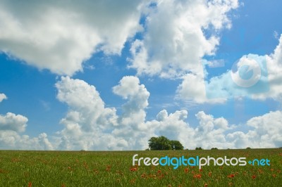 Cloudy Landscape Stock Photo