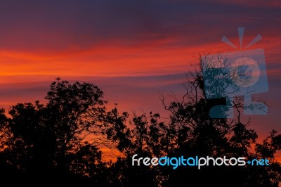 Cloudy Sky At Sunset Stock Photo