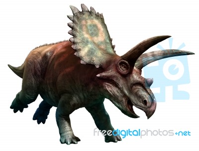 Coahuilaceratops Stock Image