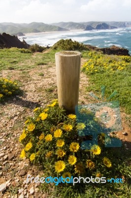 Coastal Algarve Region Stock Photo