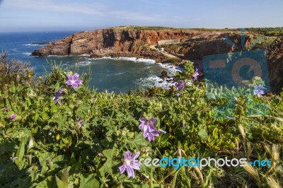 Coastal Algarve Region Stock Photo