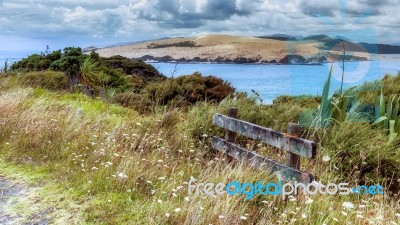 Coastal Walk Near Arai-te-uru Recreation Reserve In Omapere In N… Stock Photo