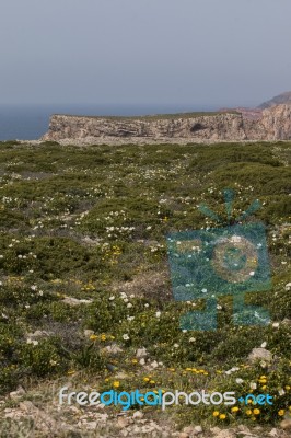 Coastline Landscape Of Sagres Stock Photo