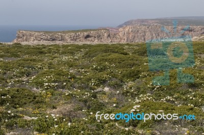 Coastline Landscape Of Sagres Stock Photo