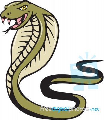 Cobra Viper Snake Attacking Cartoon Stock Image